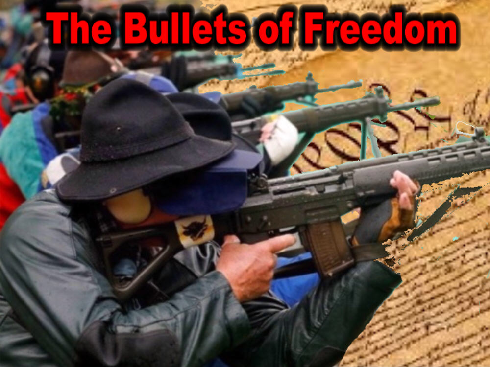 Bullets of Freedom=